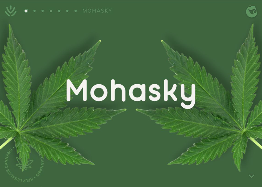 Mohasky