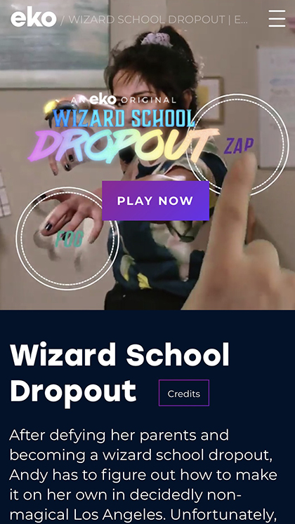 Wizard School Dropout