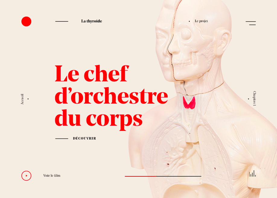 Le chef d'orchestre du corps