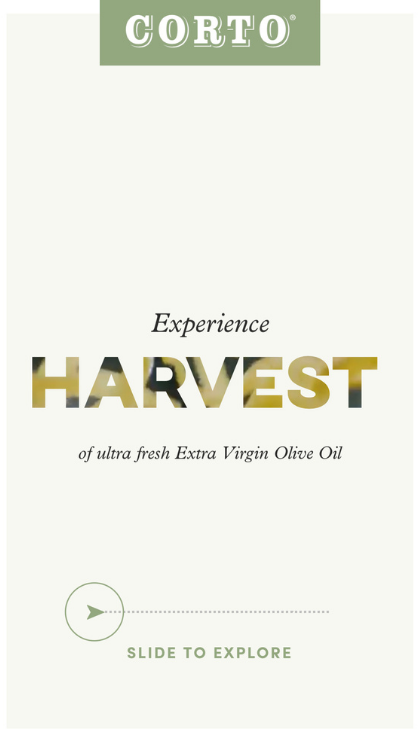 Fall Harvest: Corto Olive Oil