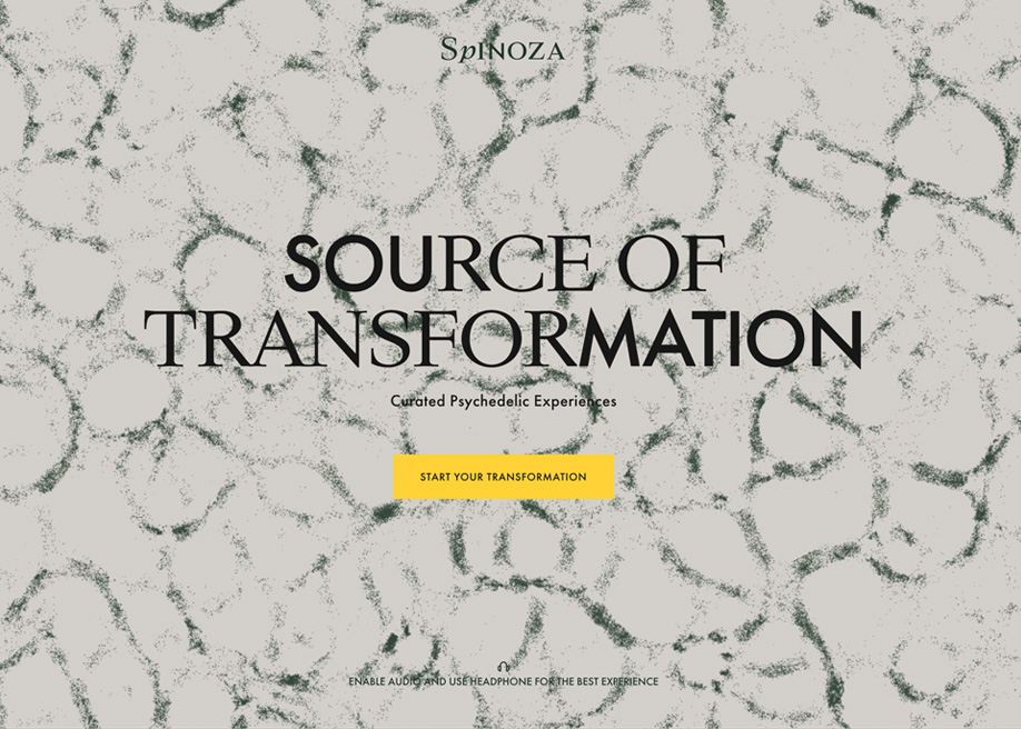 Spinoza.co award-winning website design screenshot 1