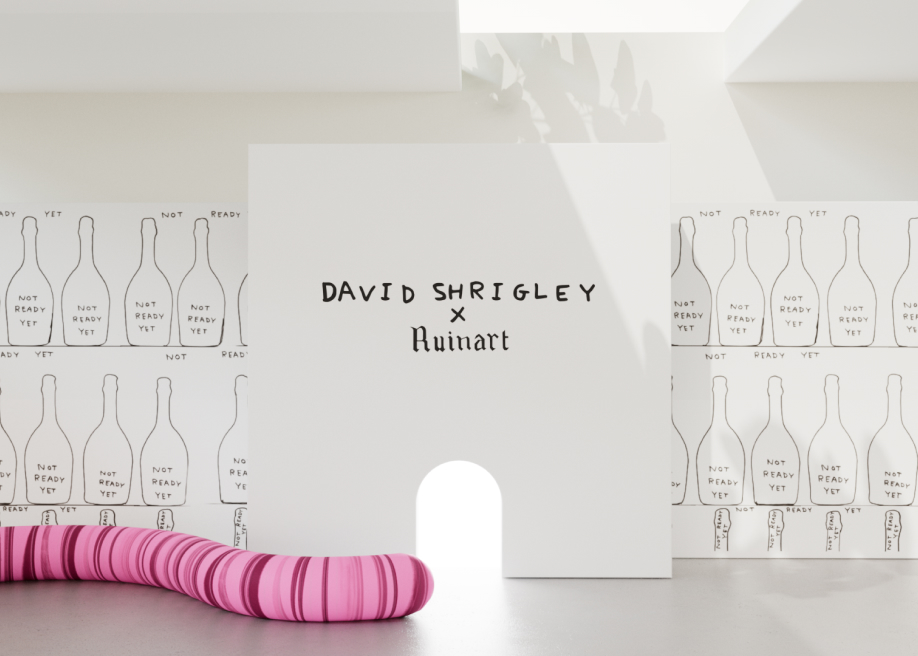 The Unconventional Gallery award-winning website design screenshot 1