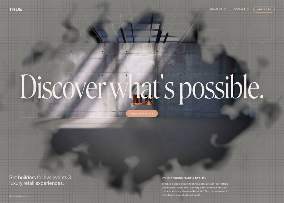TRUE award-winning website design screenshot 1