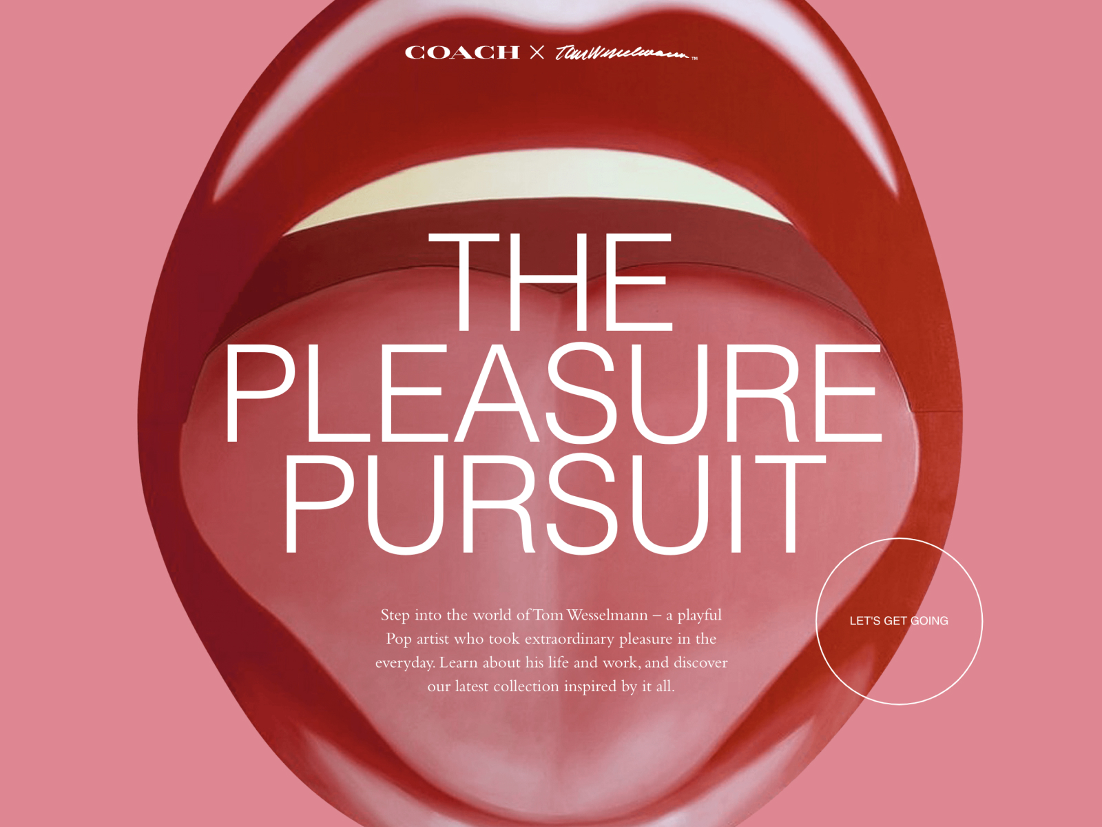 The Pleasure Pursuit award-winning website design screenshot 1