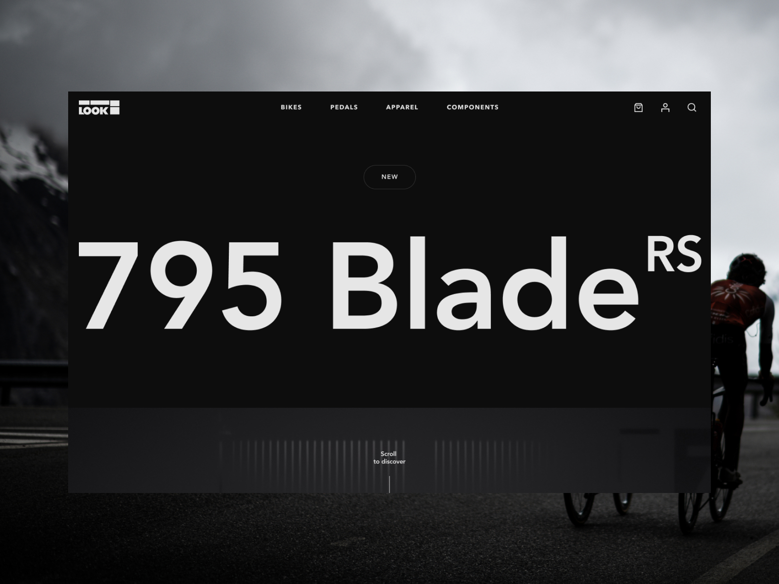 Look 795 Blade RS