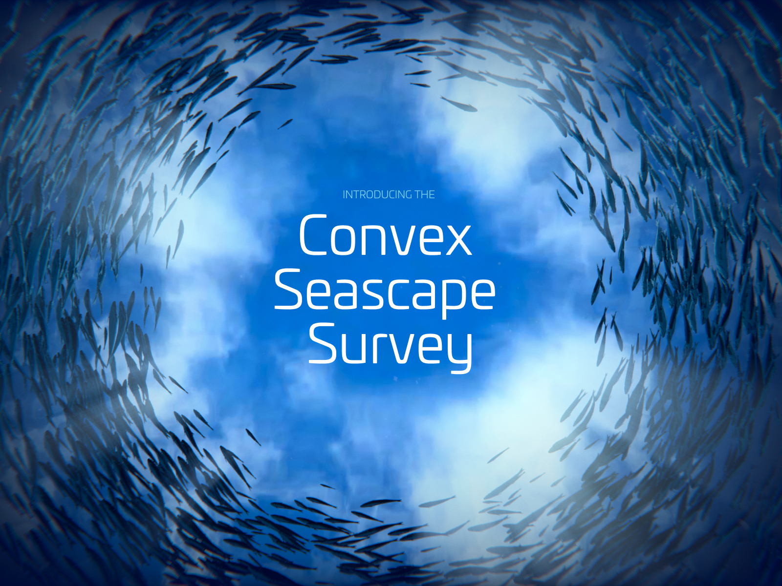 Convex Seascape Survey