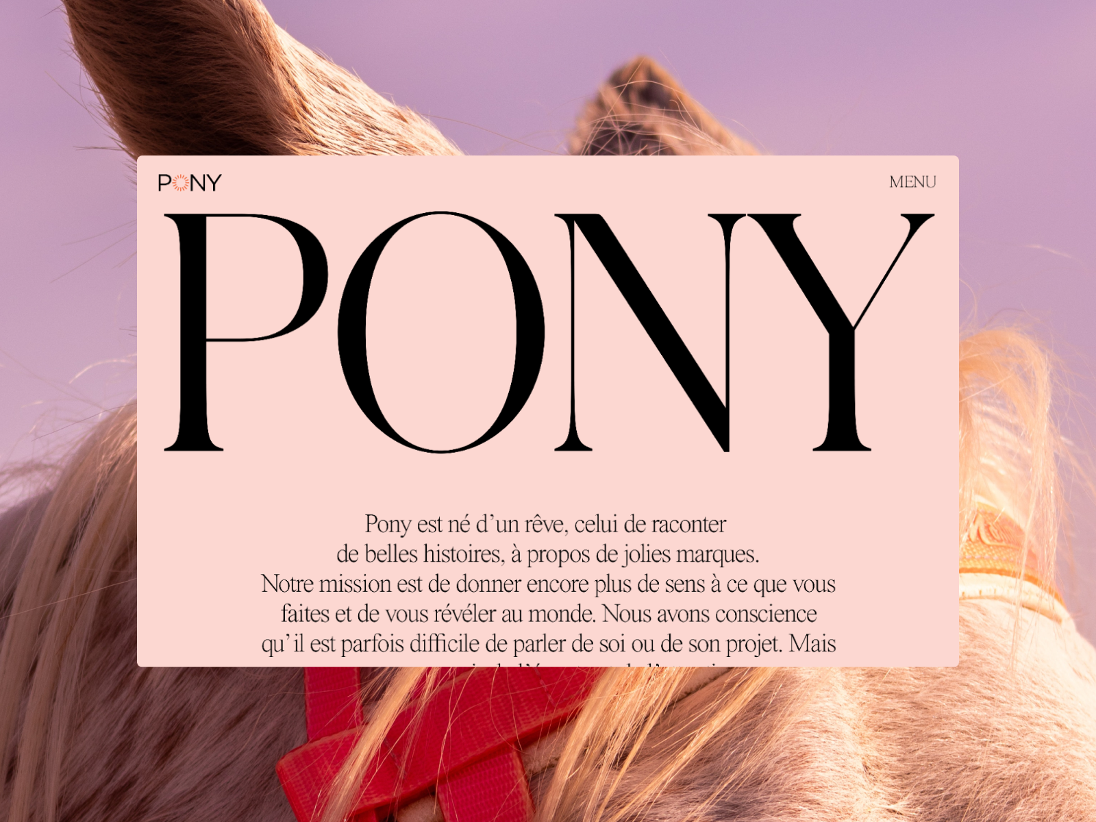 Pony agency