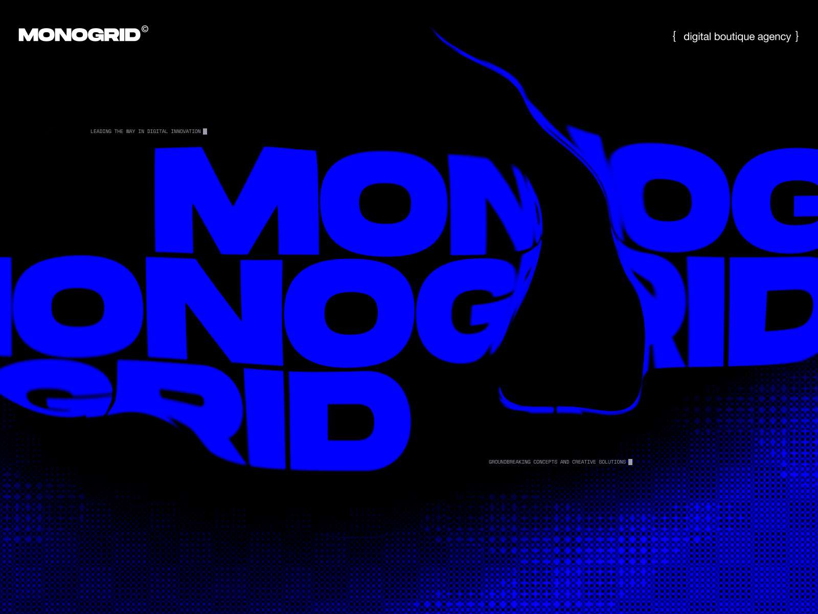 MONOGRID.COM award-winning website design screenshot 1