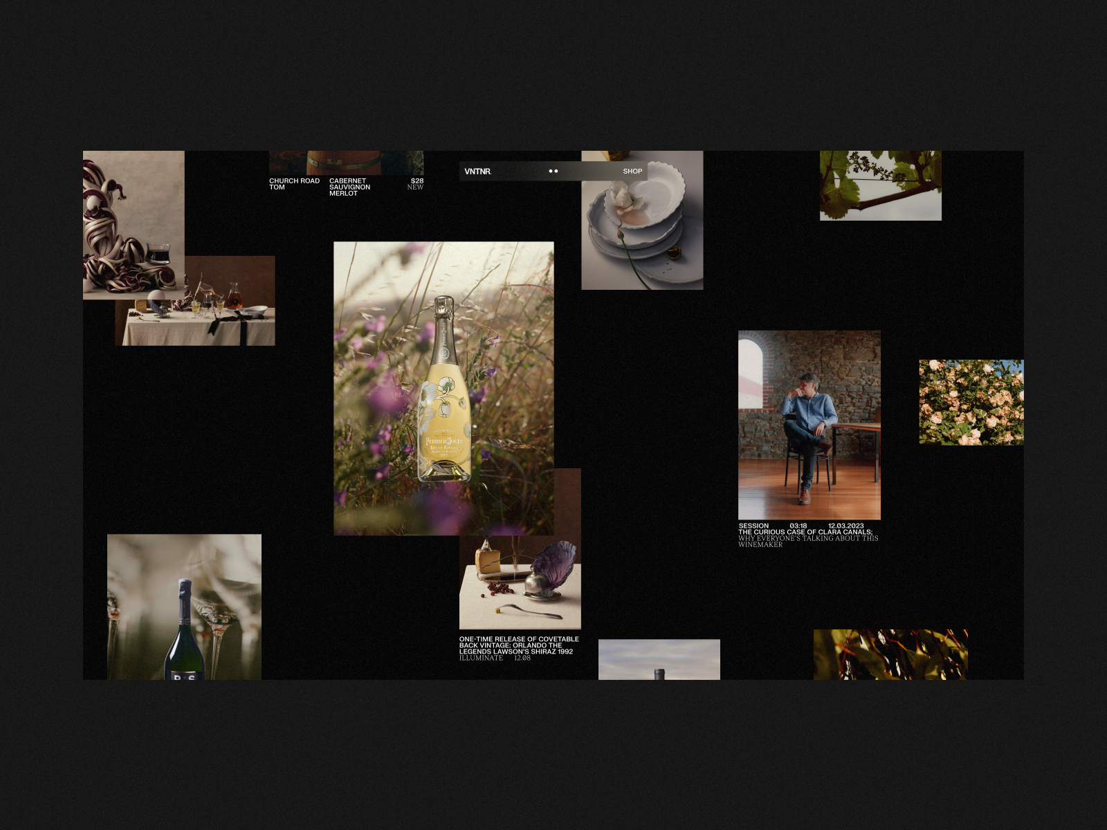 VNTNR award-winning website design screenshot 1
