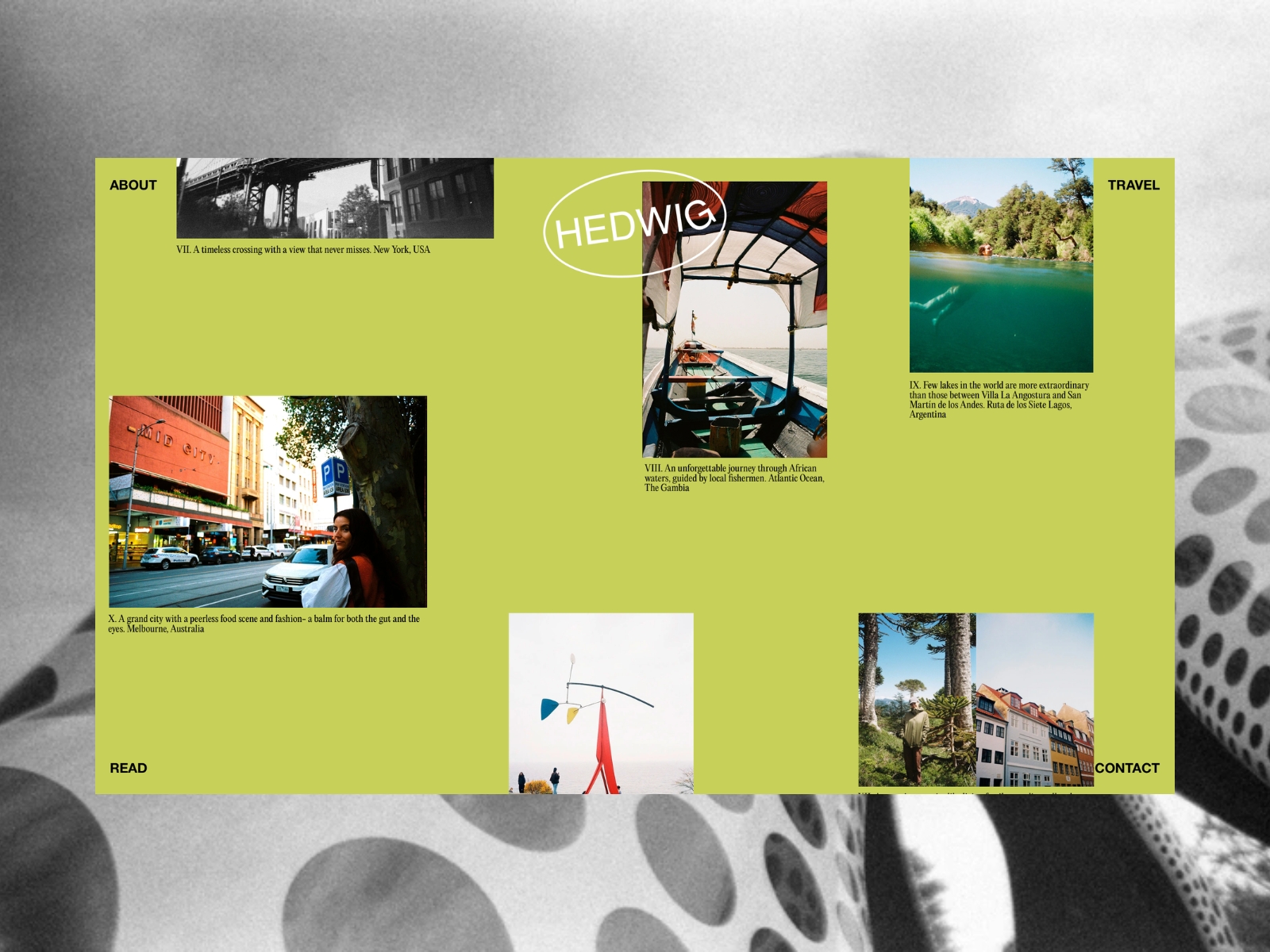 Hedwig: Curated Travel