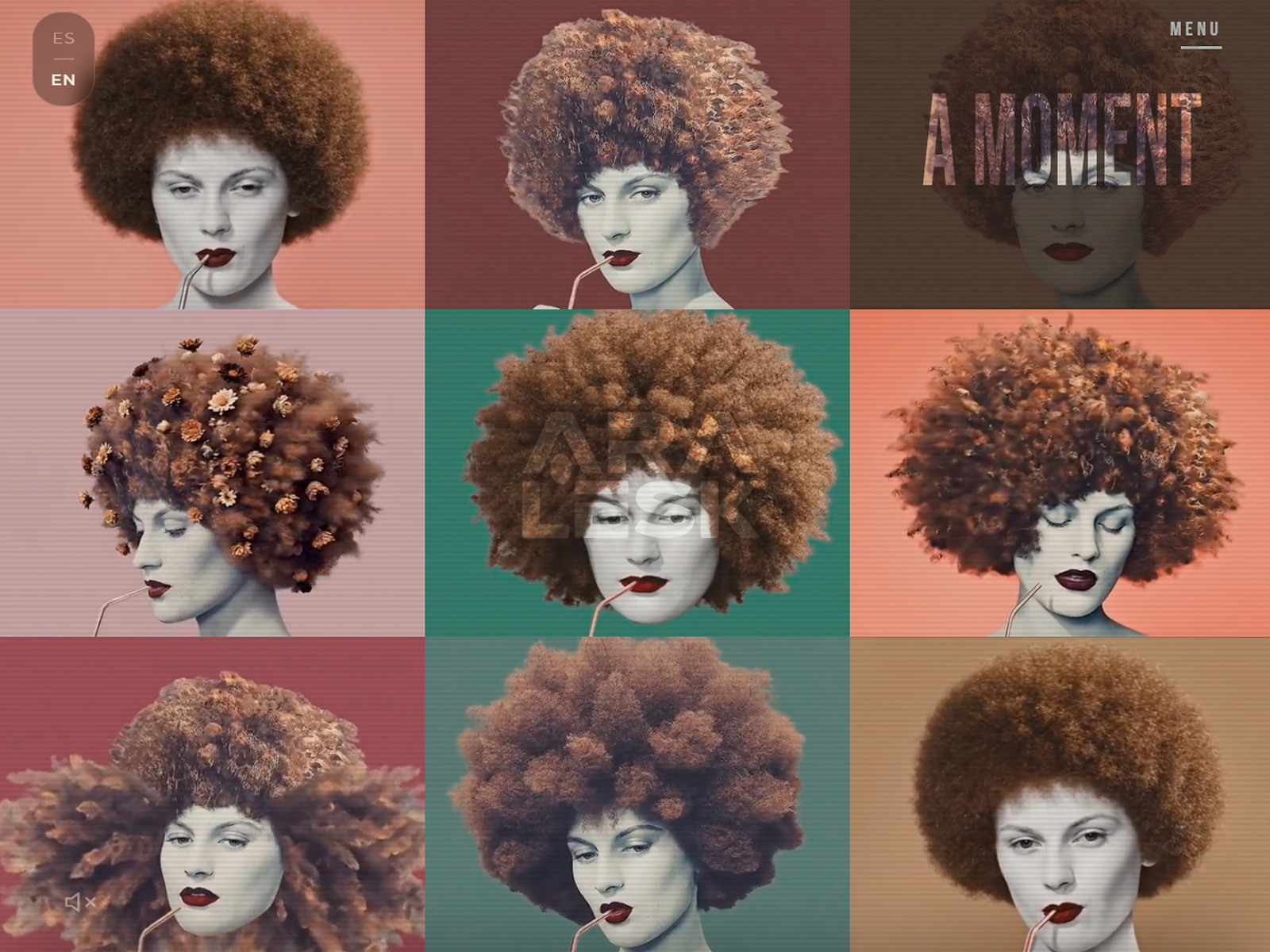 Aralesk — Collages & Motion
