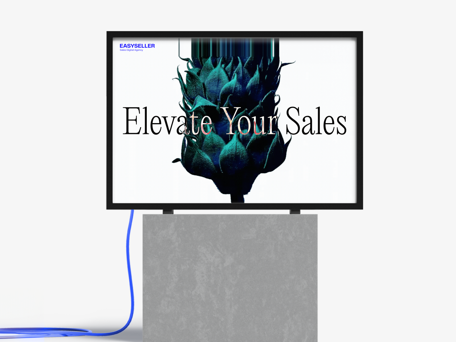 EASYSELLER | Elevate Your Sales