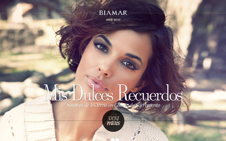 Biamar award-winning website design screenshot 1