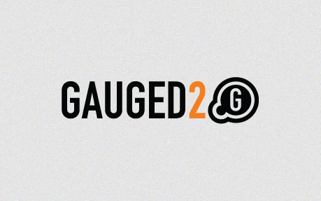 Gauged2 award-winning website design screenshot 1
