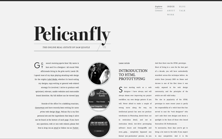 Pelican FLy — Site of the Day - Apr 12, 2011 website design