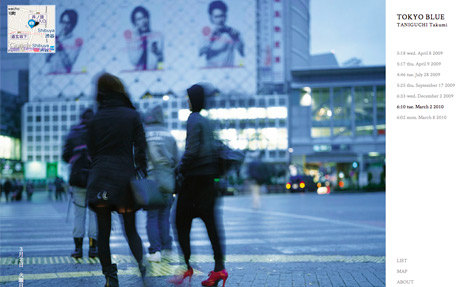 Tokyo Blue award-winning website design screenshot 1