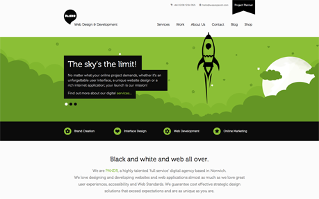 PANDR Web Design & Development award-winning website design screenshot 1