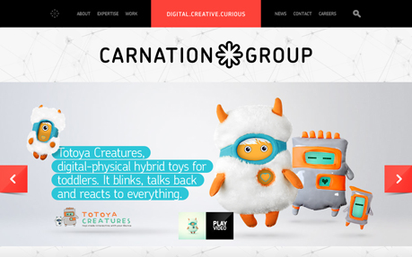 CarnationGroup site