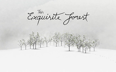This Exquisite Forest