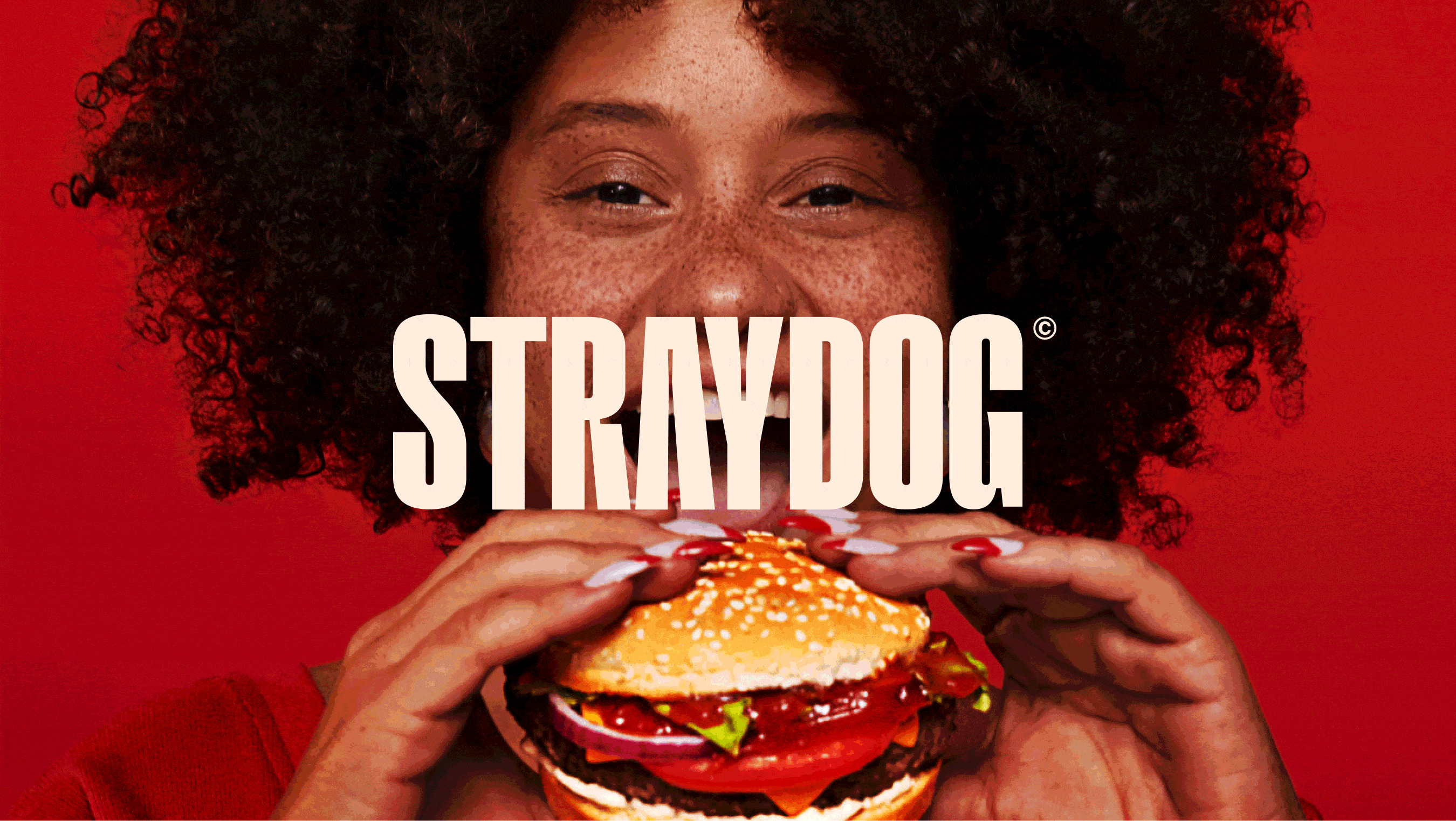 STRAYDOG©