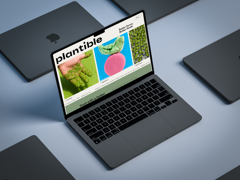 Plantible Foods