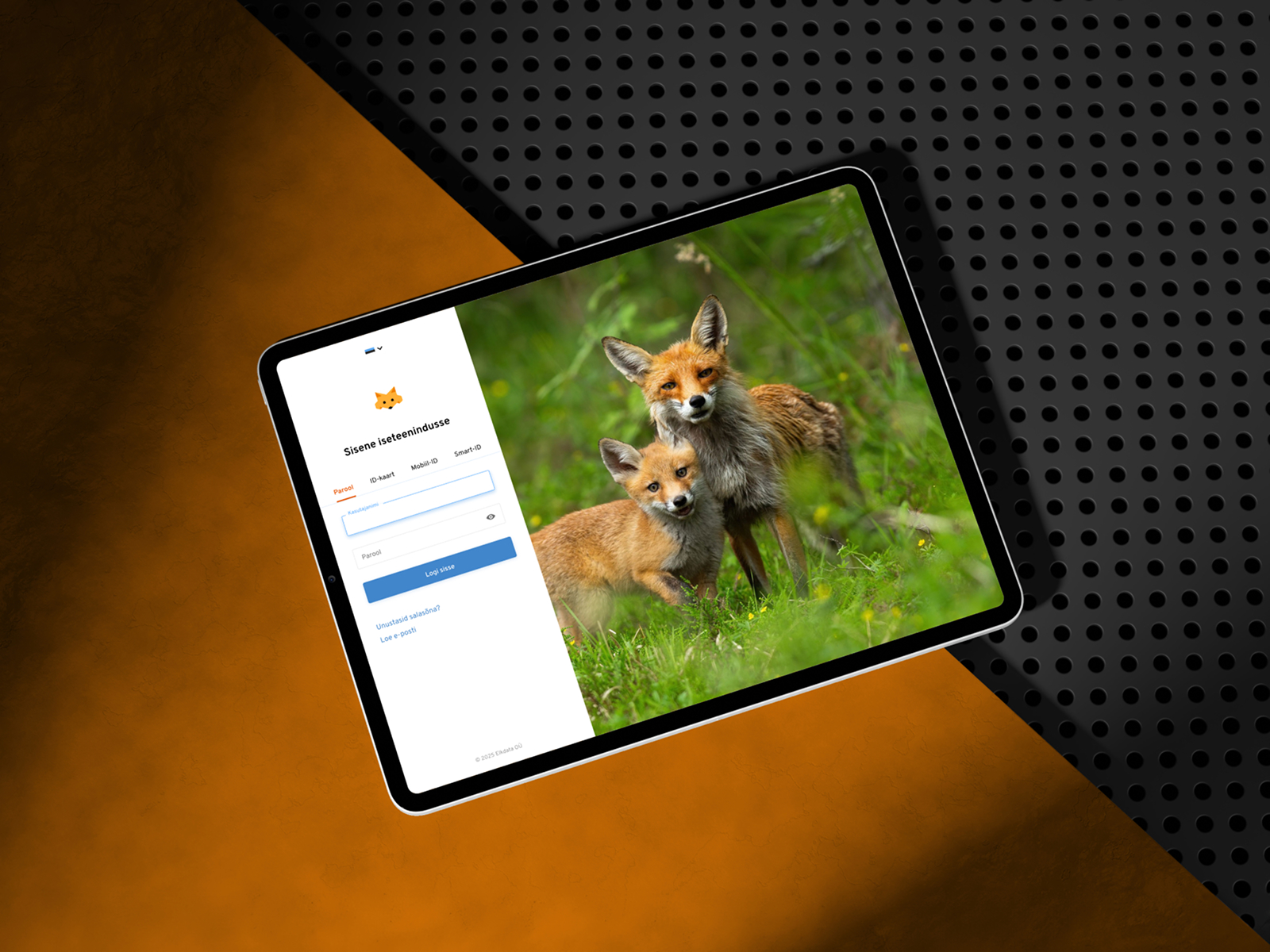 Hosting Portal Redesign
